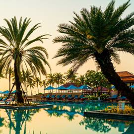 Palm-lined leisure destination